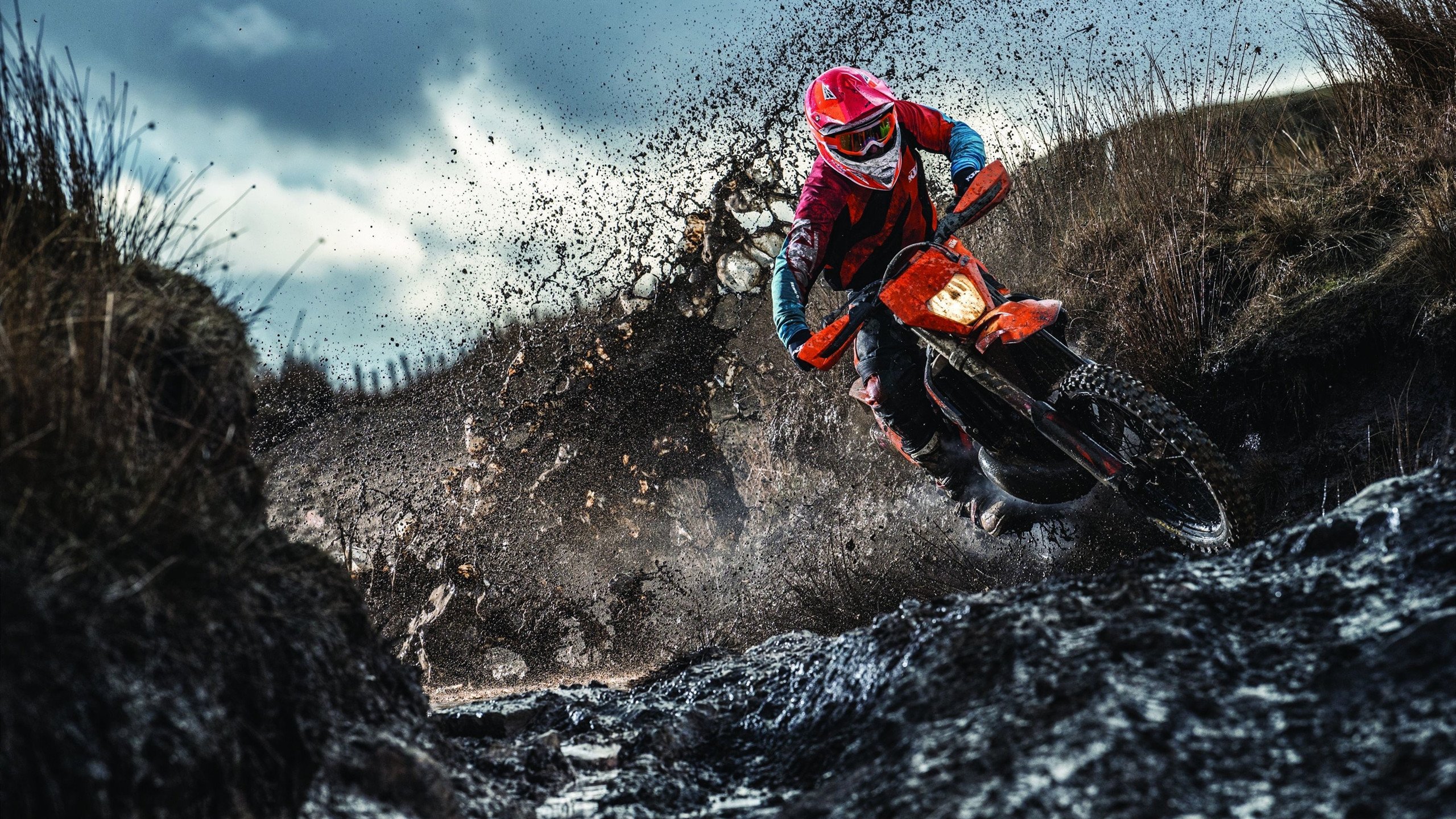 温网横扫至ATP总决赛，德约科维奇的巅峰之路，无可复制的网球传奇